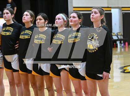 Thumbnail 3 in St. John Paul II Catholic @ Arizona Lutheran Academy (Senior Night) photogallery.