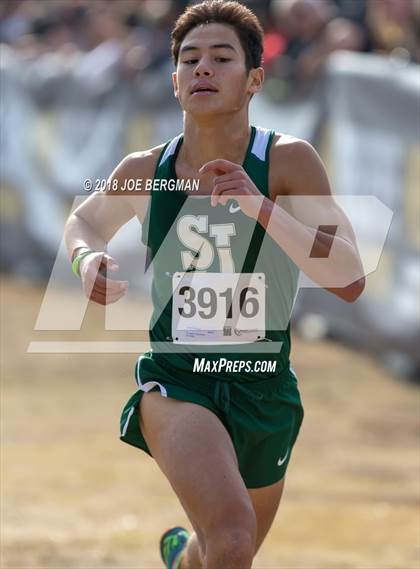 Thumbnail 2 in CIF Central Section Cross Country Championships (Boys D3 Race) photogallery.