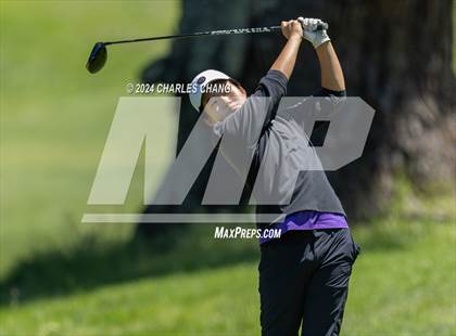 Thumbnail 3 in NCS D1 Golf Championships photogallery.
