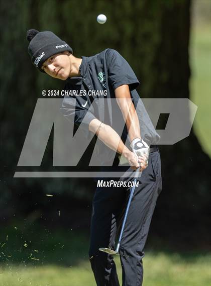 Thumbnail 2 in NCS D1 Golf Championships photogallery.