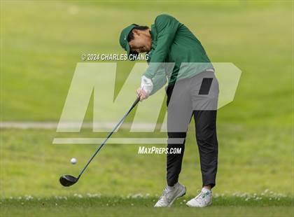 Thumbnail 2 in NCS D1 Golf Championships photogallery.