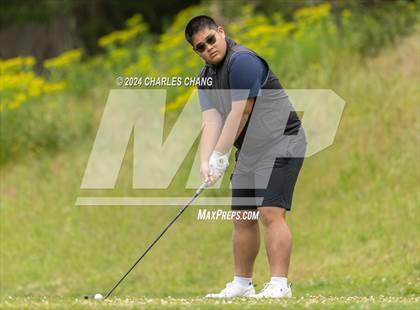 Thumbnail 3 in NCS D1 Golf Championships photogallery.