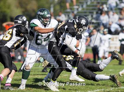 Thumbnail 3 in William Floyd @ Northport photogallery.