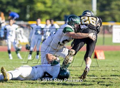 Thumbnail 2 in William Floyd @ Northport photogallery.