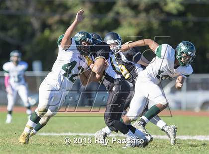 Thumbnail 3 in William Floyd @ Northport photogallery.