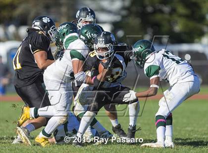 Thumbnail 1 in William Floyd @ Northport photogallery.