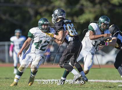 Thumbnail 2 in William Floyd @ Northport photogallery.