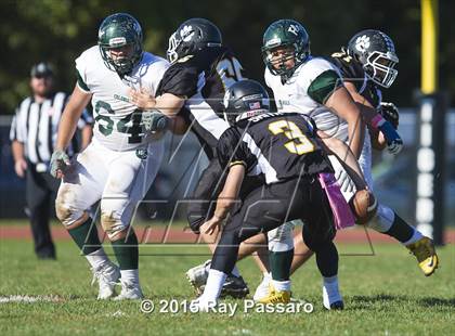 Thumbnail 3 in William Floyd @ Northport photogallery.