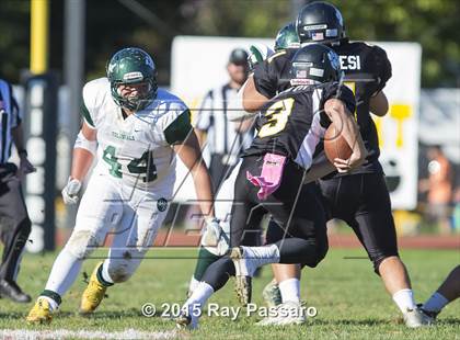 Thumbnail 1 in William Floyd @ Northport photogallery.