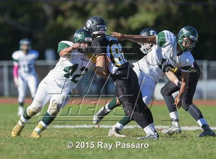Thumbnail 1 in William Floyd @ Northport photogallery.