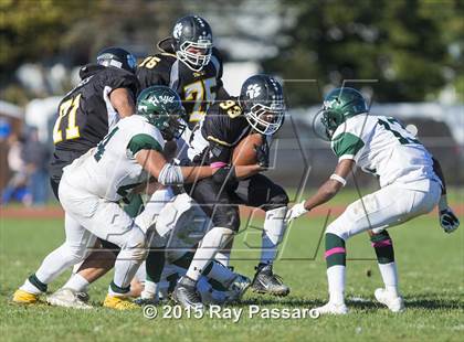 Thumbnail 2 in William Floyd @ Northport photogallery.