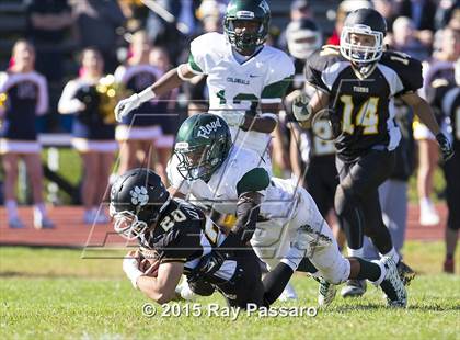 Thumbnail 2 in William Floyd @ Northport photogallery.