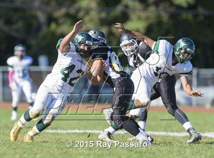 Thumbnail 2 in William Floyd @ Northport photogallery.