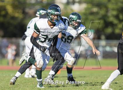 Thumbnail 2 in William Floyd @ Northport photogallery.