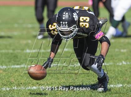 Thumbnail 3 in William Floyd @ Northport photogallery.
