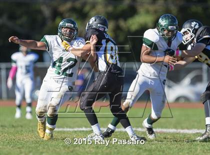 Thumbnail 3 in William Floyd @ Northport photogallery.