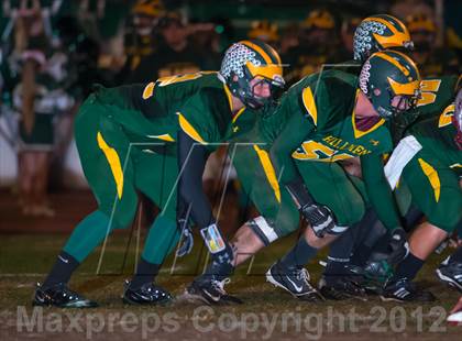 Thumbnail 2 in Bear River @ Placer photogallery.