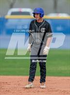 Photo from the gallery "Mountain View @ O'Connor"