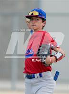 Photo from the gallery "Mountain View @ O'Connor"