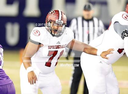 Thumbnail 3 in Springdale @ Fayetteville photogallery.