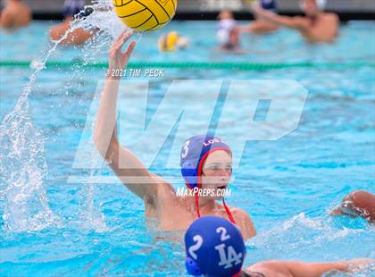 Thumbnail 2 in Los Amigos @ Los Alamitos photogallery.