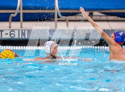 Thumbnail 2 in Los Amigos @ Los Alamitos photogallery.