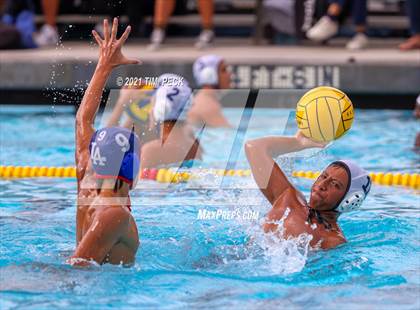 Thumbnail 3 in Los Amigos @ Los Alamitos photogallery.