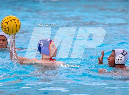 Thumbnail 3 in Los Amigos @ Los Alamitos photogallery.