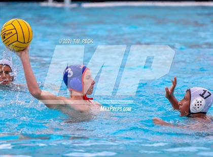 Thumbnail 2 in Los Amigos @ Los Alamitos photogallery.