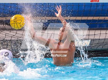 Thumbnail 1 in Los Amigos @ Los Alamitos photogallery.