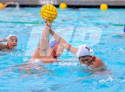Thumbnail 3 in Los Amigos @ Los Alamitos photogallery.