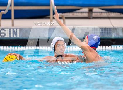 Thumbnail 3 in Los Amigos @ Los Alamitos photogallery.