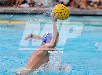 Thumbnail 1 in Los Amigos @ Los Alamitos photogallery.