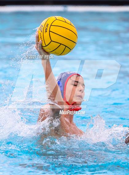 Thumbnail 3 in Los Amigos @ Los Alamitos photogallery.