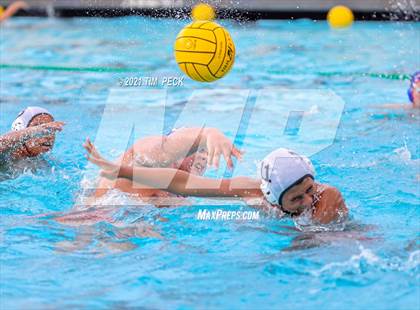 Thumbnail 1 in Los Amigos @ Los Alamitos photogallery.