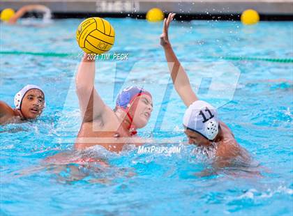 Thumbnail 2 in Los Amigos @ Los Alamitos photogallery.