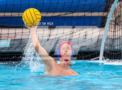Thumbnail 2 in Los Amigos @ Los Alamitos photogallery.