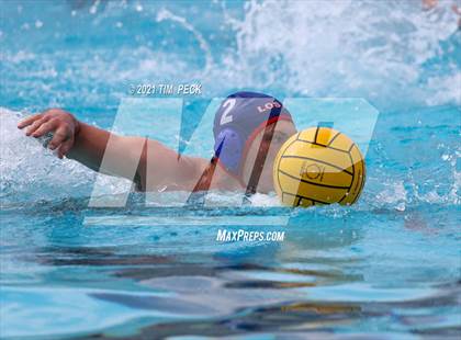 Thumbnail 2 in Los Amigos @ Los Alamitos photogallery.