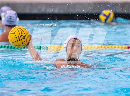 Thumbnail 2 in Los Amigos @ Los Alamitos photogallery.