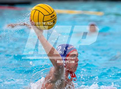 Thumbnail 3 in Los Amigos @ Los Alamitos photogallery.