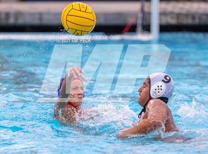 Thumbnail 3 in Los Amigos @ Los Alamitos photogallery.