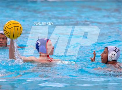 Thumbnail 2 in Los Amigos @ Los Alamitos photogallery.