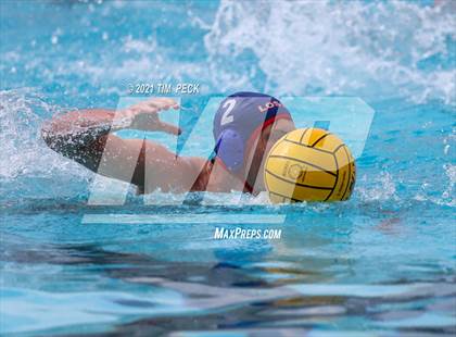 Thumbnail 3 in Los Amigos @ Los Alamitos photogallery.