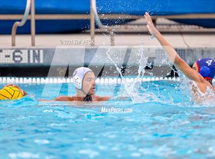 Thumbnail 3 in Los Amigos @ Los Alamitos photogallery.