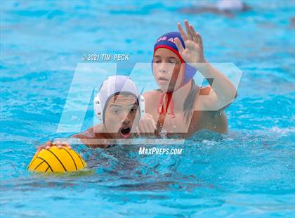 Thumbnail 1 in Los Amigos @ Los Alamitos photogallery.