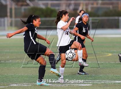 Thumbnail 3 in Verdugo Hills vs. Sotomayor (CIF LACS D3 Final) photogallery.