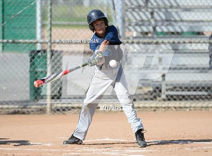Thumbnail 1 in Gabrielino @ Rosemead photogallery.