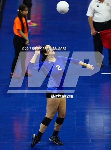 null - Photo 11