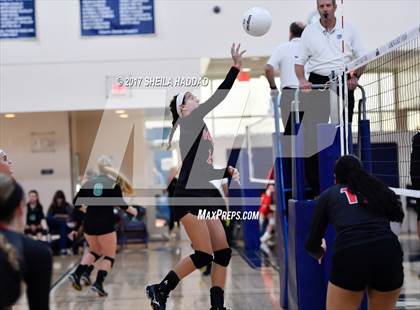 Thumbnail 3 in Tampa Bay HEAT vs Robinson photogallery.