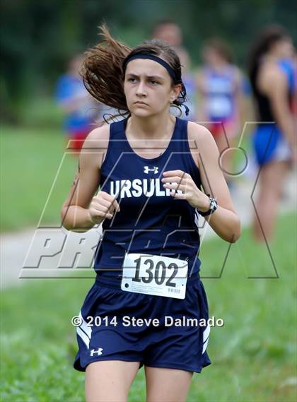 Thumbnail 2 in Mt. Carmel Invitational (Girls) photogallery.